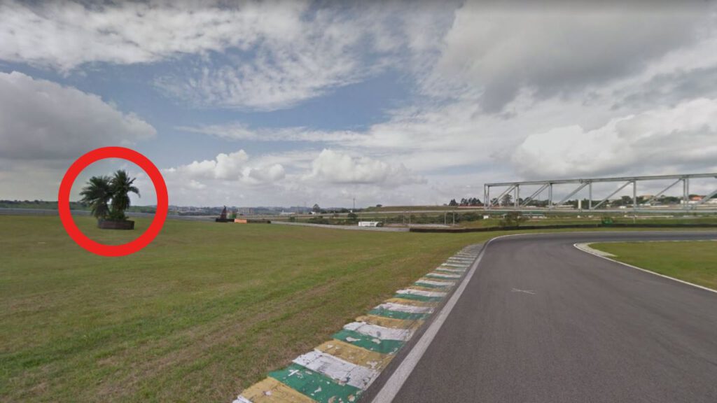 Ein Baum in der Auslaufzone der Formel-1-Strecke in Sao Paulo